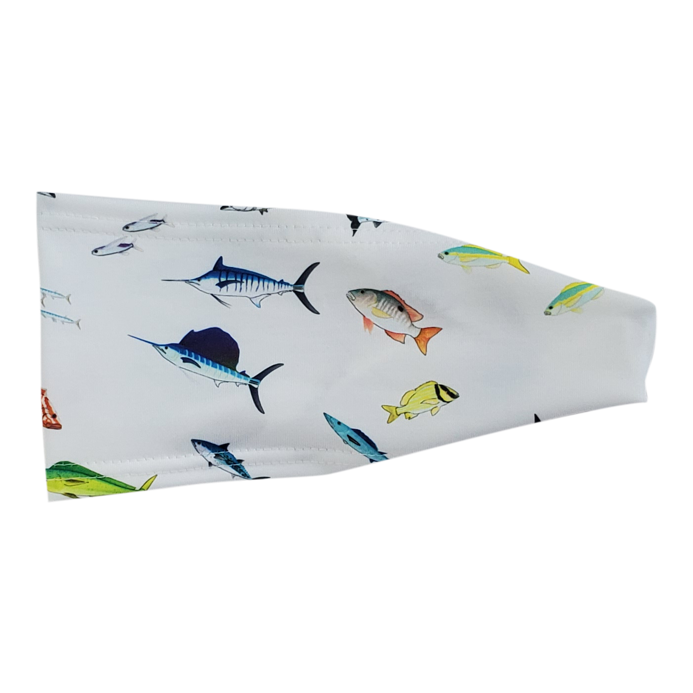 tropical multi colored fish on white